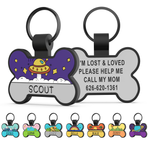 Silicone pet ID tag precision mold design engineering